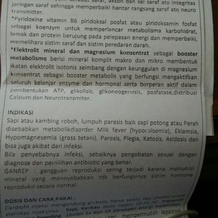 Cardiofit Forte Vitamin Sapi Injection 100Ml Obat Sapi Ambruk Untuk Gangguan Metabolik & Defisiensi