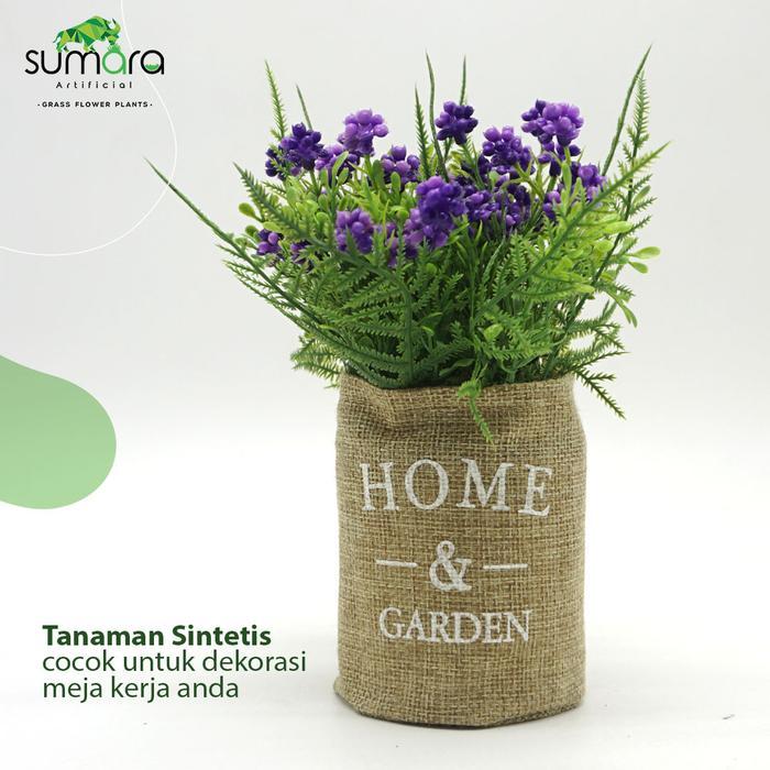 Hyancith Anggur Unggu Pot Karung