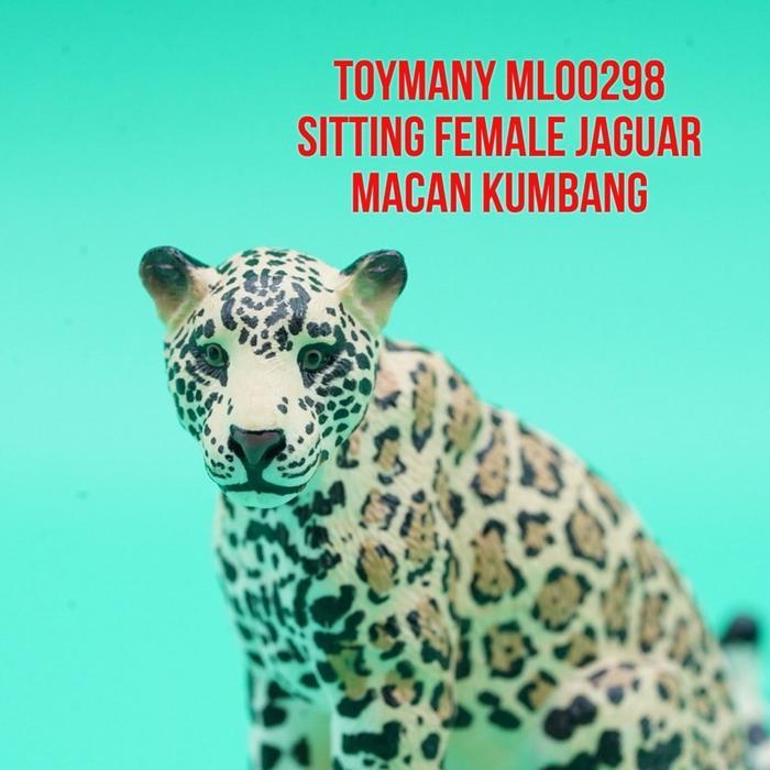 Grafi - Toymany Ml00298 Sitting Jaguar Panthera Onca Macan Kumbang Macan Tutul Mainan Figure