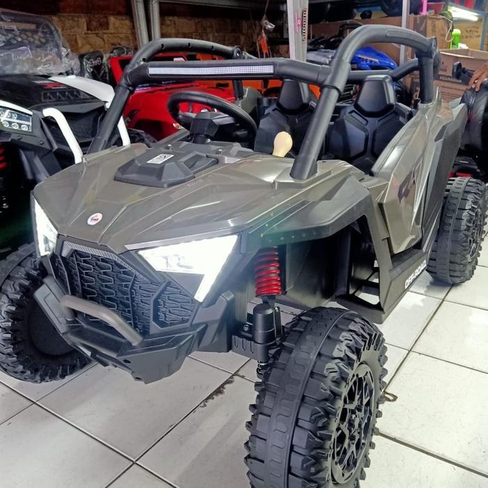 Mobil aki utv monster