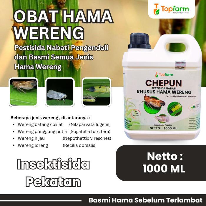 Obat Wereng Padi - Obat Wereng Paling Ampuh / Obat Hama Wereng / Obat Wereng Pada Tanaman Padi /