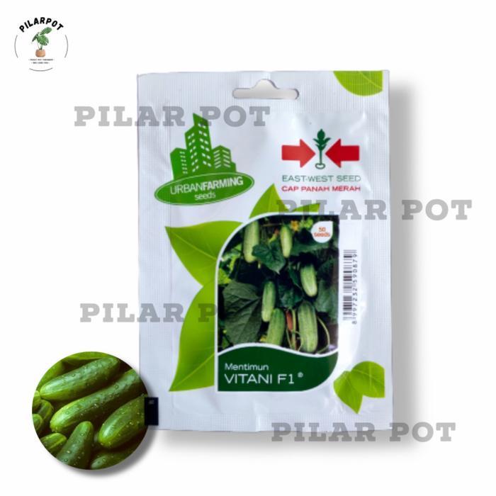 Tanamsegar- Benih Bibit Timun Lalap Vitani F1 Cap Panah Merah - Timun Vitani F1
