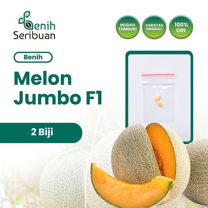 2 Benih Melon Jumbo F1 Hibrida Bibit Buah Melon Orange Manis