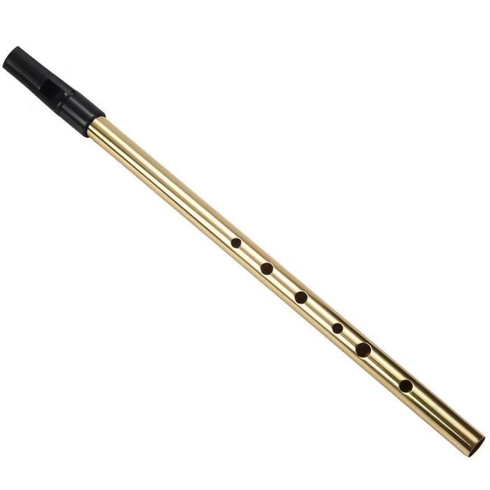 Irish Tin Flute Penny Whistle Flute Irlandia Flute Brass WoodWid Key C Key D