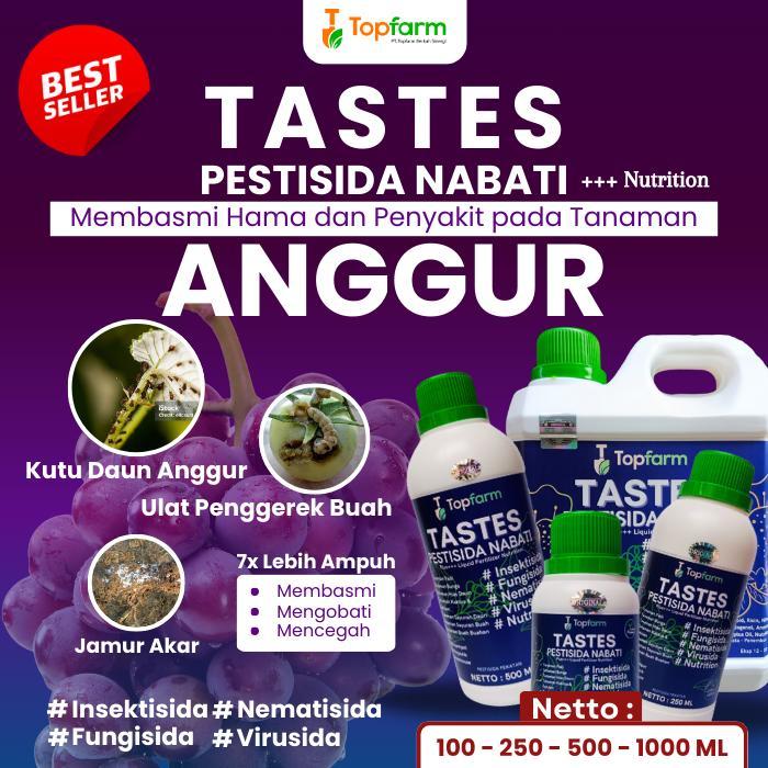 PESTISIDA UNTUK POHON ANGGUR / PESTISIDA KHUSUS TANAMAN ANGGUR / PESTISIDA BUAH ANGGUR / PESTISIDA