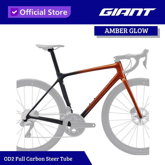 HOT SALE GIANT TCR ADVANCED PRO DISC FRAMESET