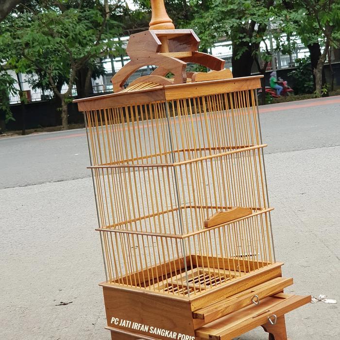Kandang Pleci Rep Pcmi Jati