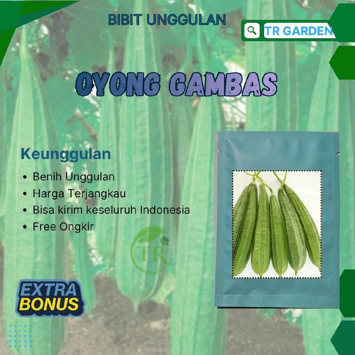 biji bibit oyong gambas EMES 50 biji