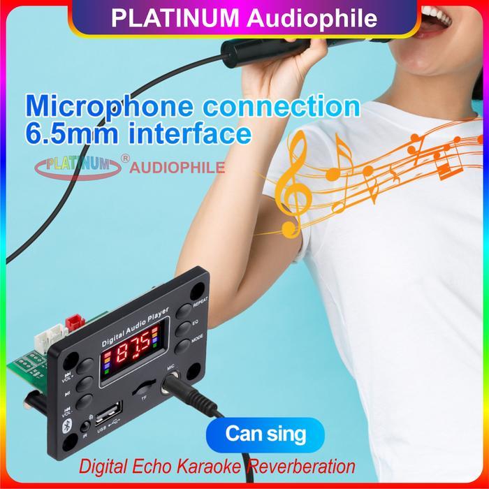Modul Mp3 Amplifier 50W Bluetooth Karaoke Microphone Echo 136BT