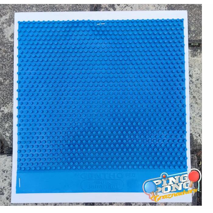 BINTIK JAHANAM GENTHO PRO