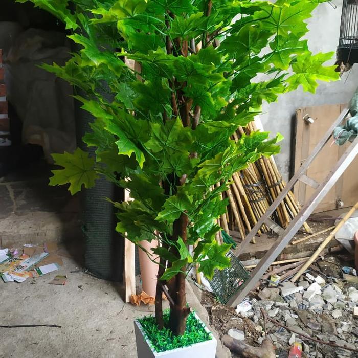 Ada Stok Pohon Maple Kanada Plastik Tinggi 170cm Bahan Import Tebal Pot Kayu Warna Putih Hiasan