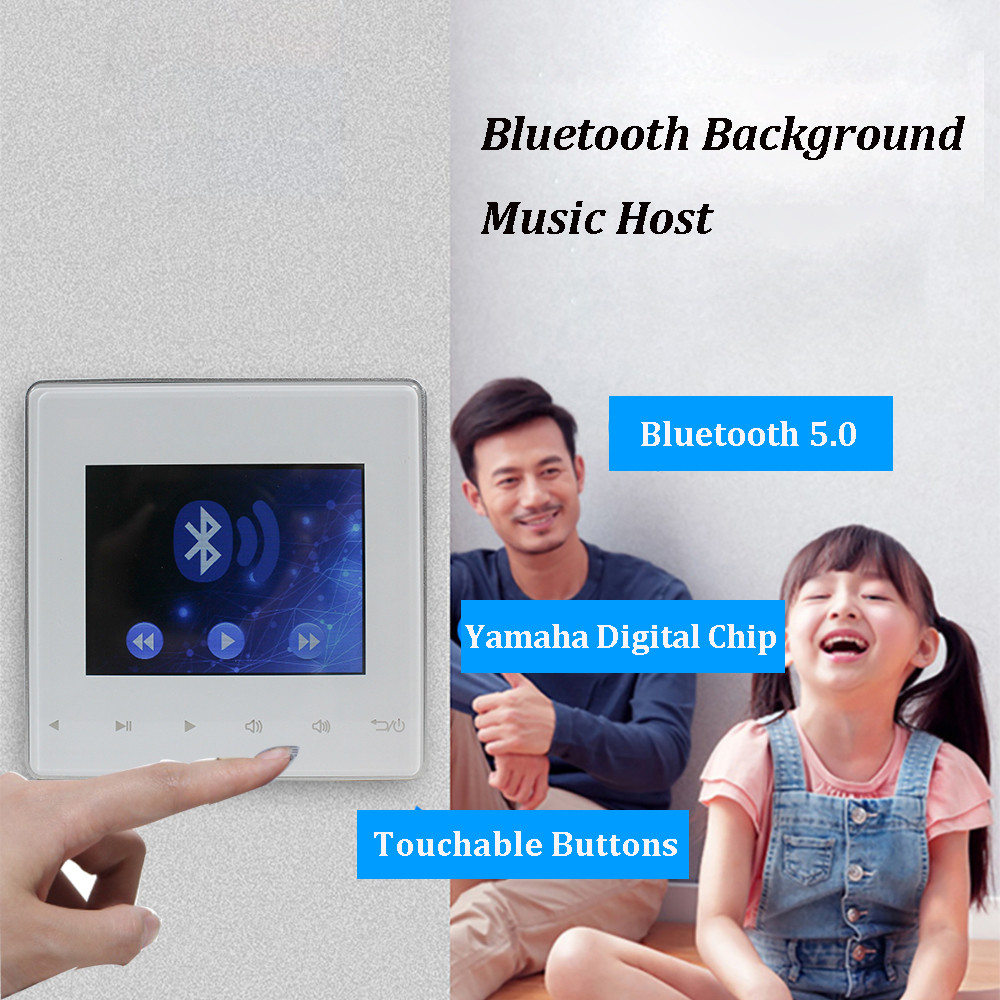 Wall Mounted Bluetooth Amplifiers Board Audio Smart Home Theater