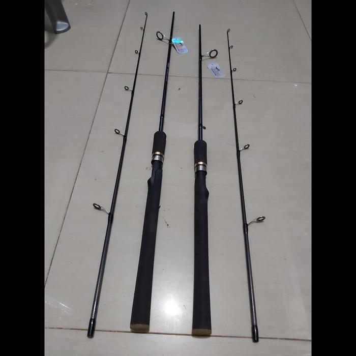 Dawai Pancing - Joran Pancing Daido Rajawali 165