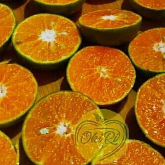 TERLARIS jeruk peras pontianak yang memiliki rasa 80% manis 20% asam ( 5kg )