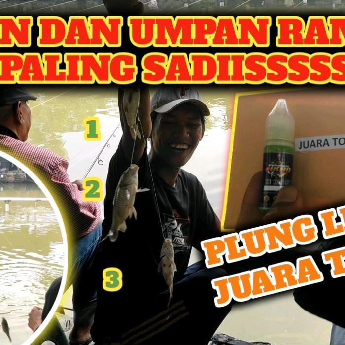Umpan Ikan Mas Siap Pakai Umpan Ikan Mas Lomba Umpan Ikan Mas Jagung Amis Gurih #Gratisongkir