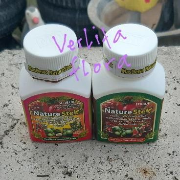 Paket Bundling Nature Stek Akar Dan Nature Stek Buah