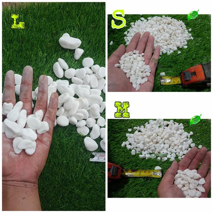 Banana Sport Batu Koral Putih Italy Import 10Kg Via Cago