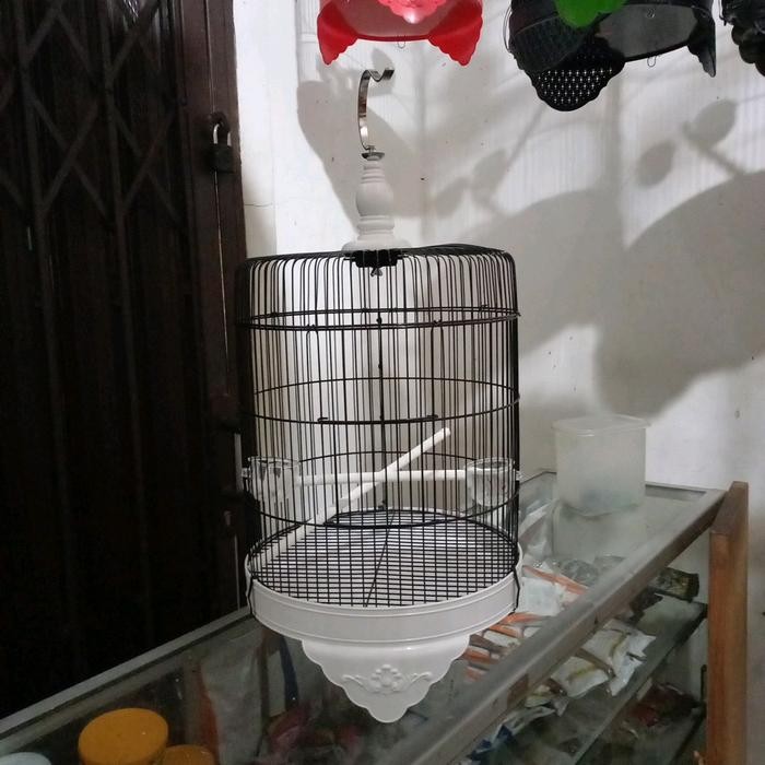 Bisa Spk Sangkar / Kandang Burung Besi Untuk Lovebird, Perkutut Ukuran Tanggung Merk Best