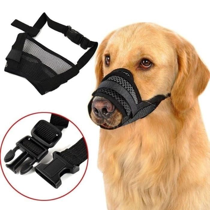 SALE Muzzle Anjing Size XL / Muzzle Anjing Besar / Brangus Anjing Besar