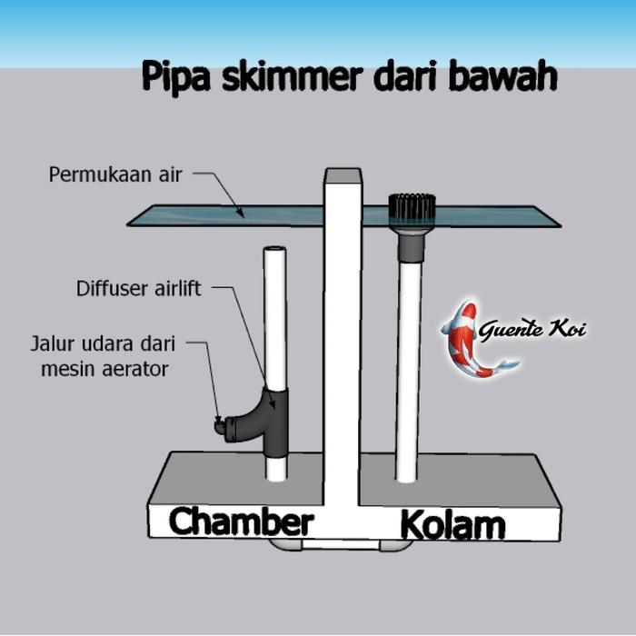 Diffuser Airlift Skimmer Kolam Koi 2 Inch