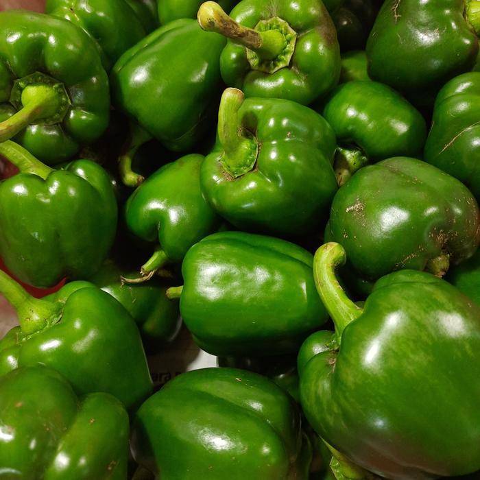 NEW paprika hijau 1 kg
