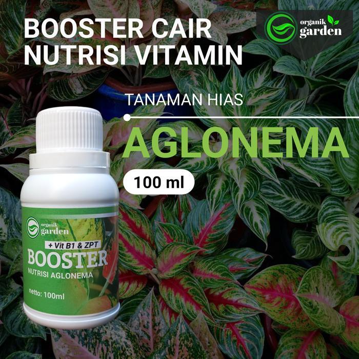 booster cair nutrisi vitamin AGLONEMA 100ML