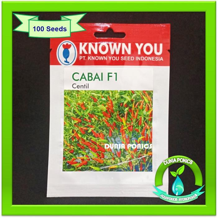Terbaru Benih Bibit Cabai Cabe Rawit Centil Known You Seed 100 Butir Seed