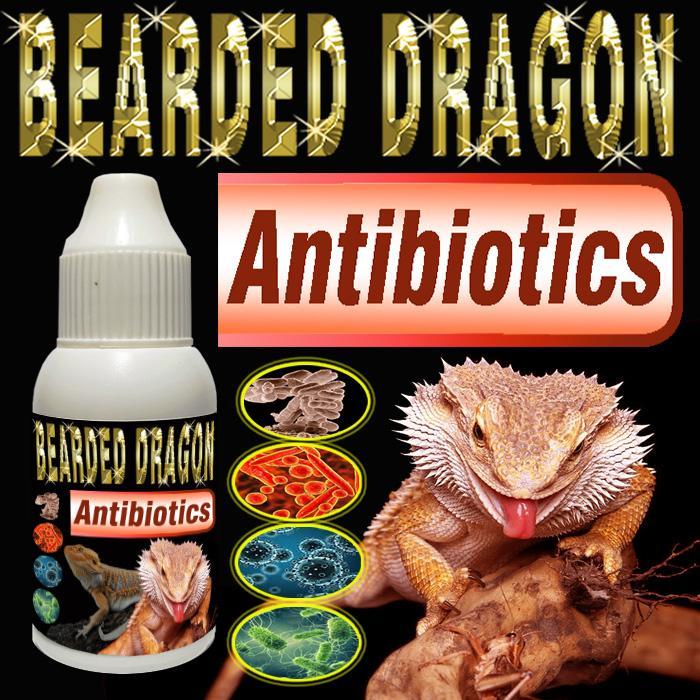 BEARDED DRAGON ANTIBIOTICS SUPLEMEN REPTILE ANTIBIOTIK MULTIVITAMIN KESEHATAN OBAT VITAMIN BD DUNNER