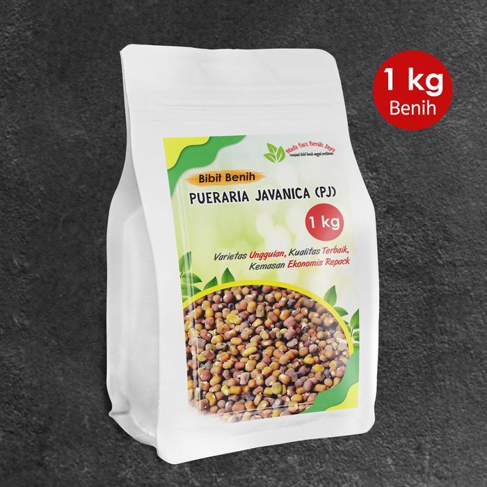TERLARIS Benih Pueraria Javanika PJ 1 kg / bibit kacang kacangan PJ Tanaman
