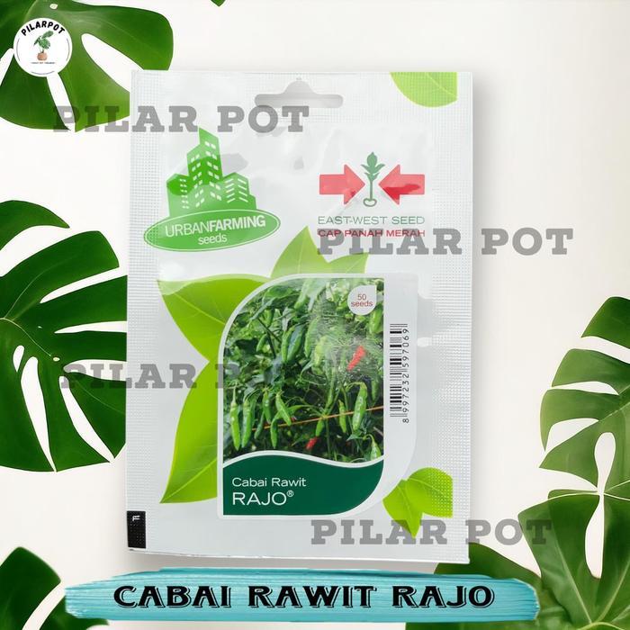 Benih Bibit Cabe Rawit Rajo Cap Panah Merah - Cabai Rawit Rajo East West Seed
