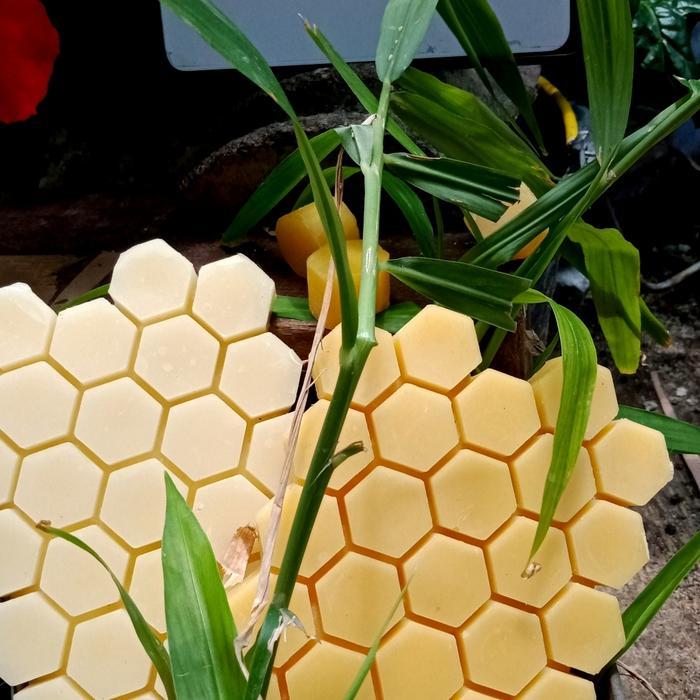 Beeswax Sarang/Beeswax Murni 1 Kg