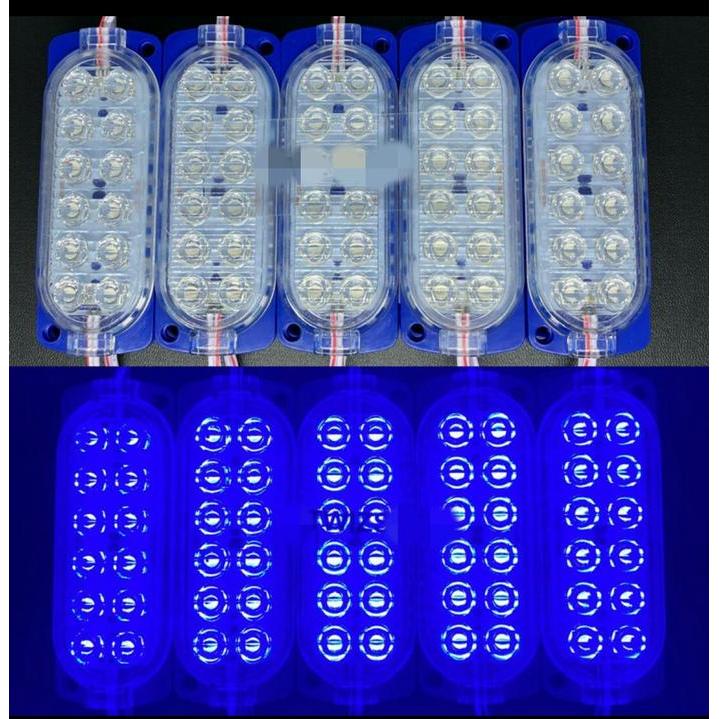 SALE Lampu LED Module 12 Mata 24 Volt / 12 Volt Modul 12 Mata DC 24V 12V