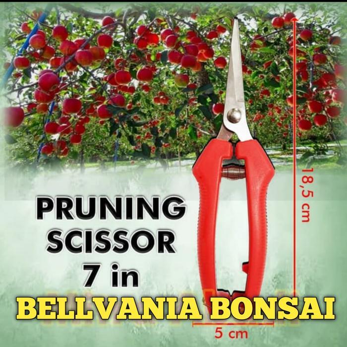 GUNTING DAHAN DAN RANTING BONSAI