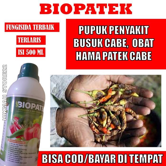 (500 ML OBAT PATEK CABE) TERLARIS BIOPATEK OBAT PATEK CABE & KERITING CABE PALING BAGUS - Obat Busuk
