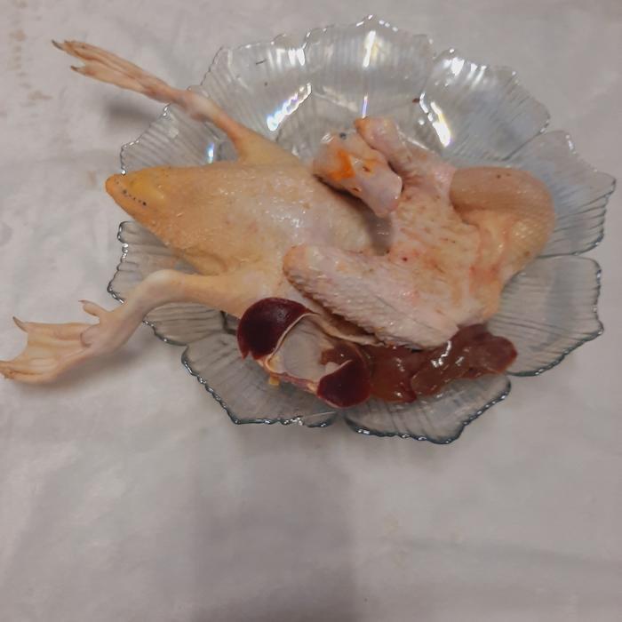 TERLARIS bebek entog / manila hidup dan potong