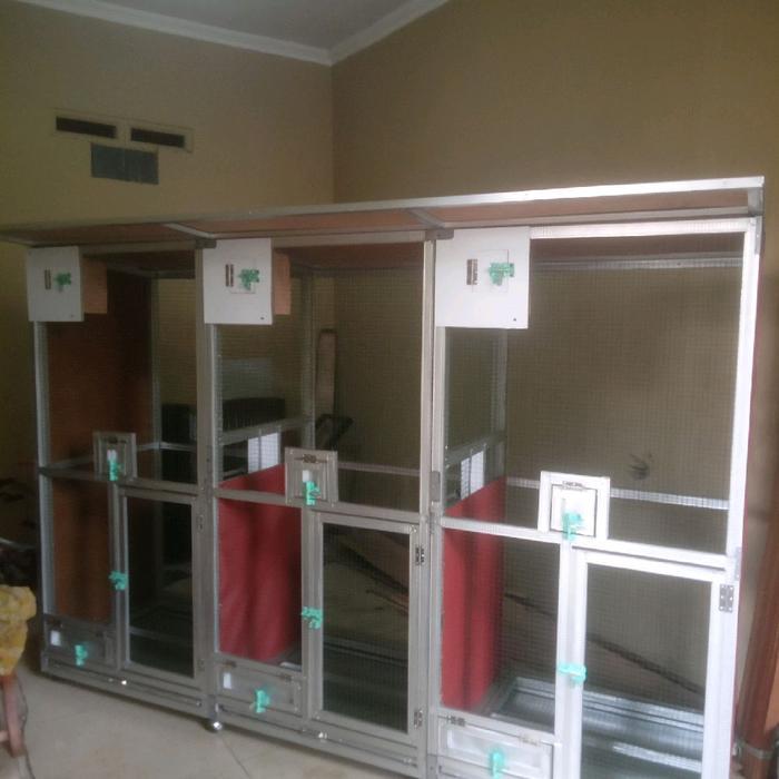 kandang ternak murai batu ekor panjang - 3 ruangan