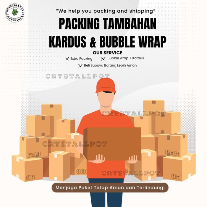 Tanamsegar- Benih Bibit Terong Ungu Panjang F1 Charming Known You Seed - Kys Terong Ungu Panjang F1