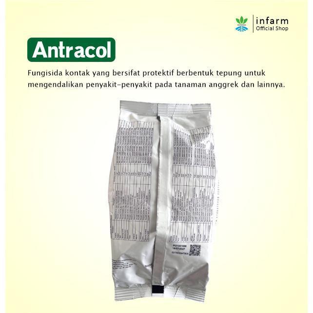 4bdw- Infarm - Antracol Fungisida 250 Gram Fungisida Sistemik Zinc Obat Anti Busuk Jamur
