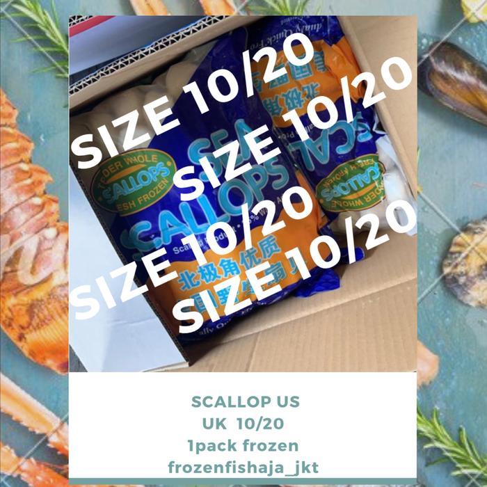 scallop / scallop us / kerang kampak / 2270 gram / frozen seafood