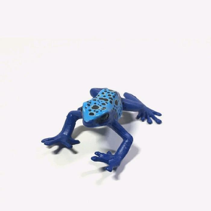 2005 COLORATA BLUE POISON DART FROG