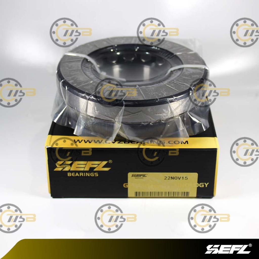 29415 E SEFL Thrust Bearing