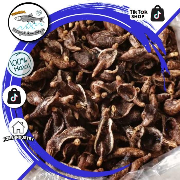 New Kerupuk Teripang Terung 250gr Goreng Khas Sidayu Gresik Keripik Teripang Hitam Timun Laut