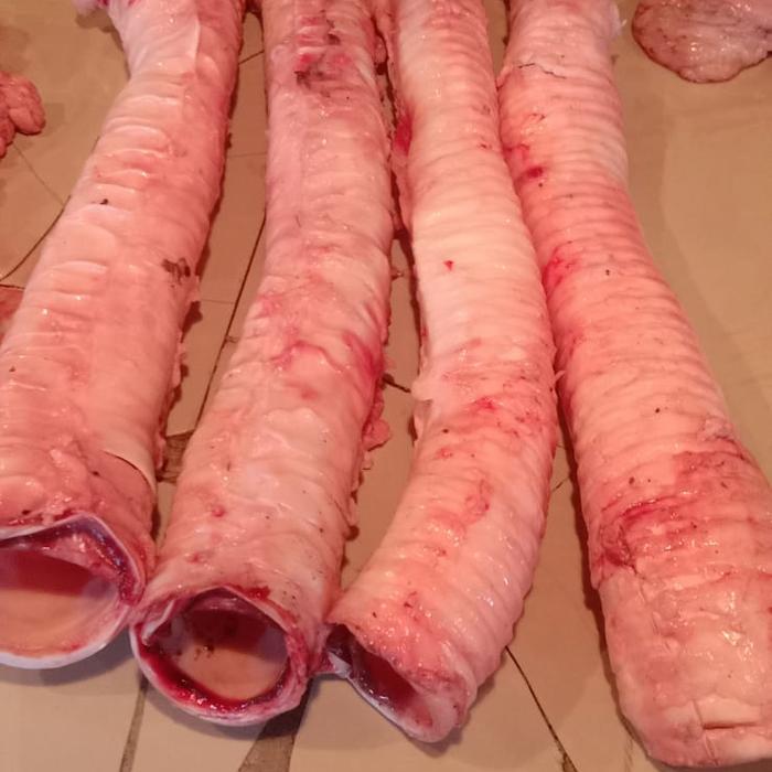 58x7- Tenggorokan Sapi 1 Kg