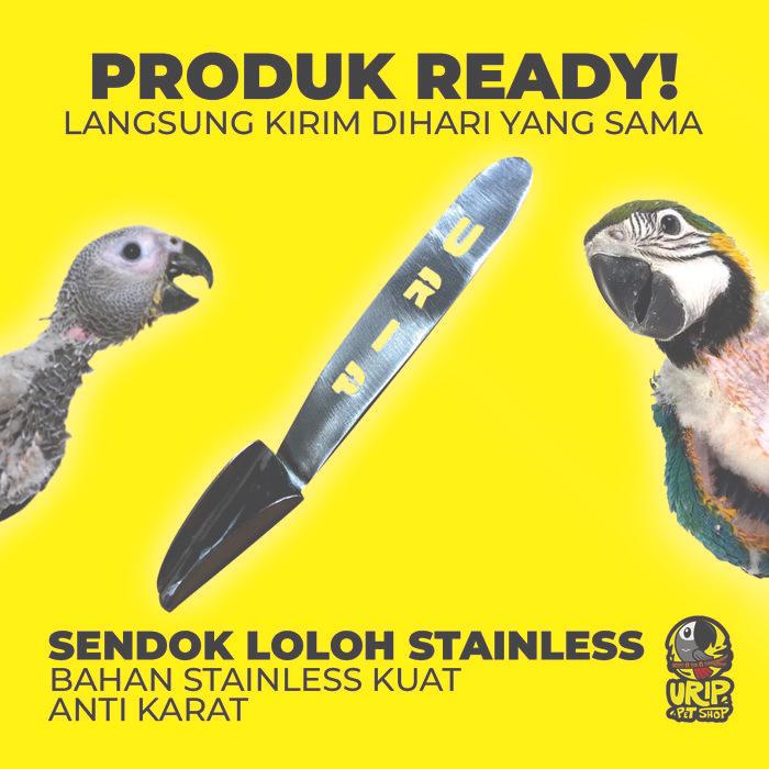 SENDOK LOLOH ANAK BURUNG KICAU PARUH BENGKOK BEO