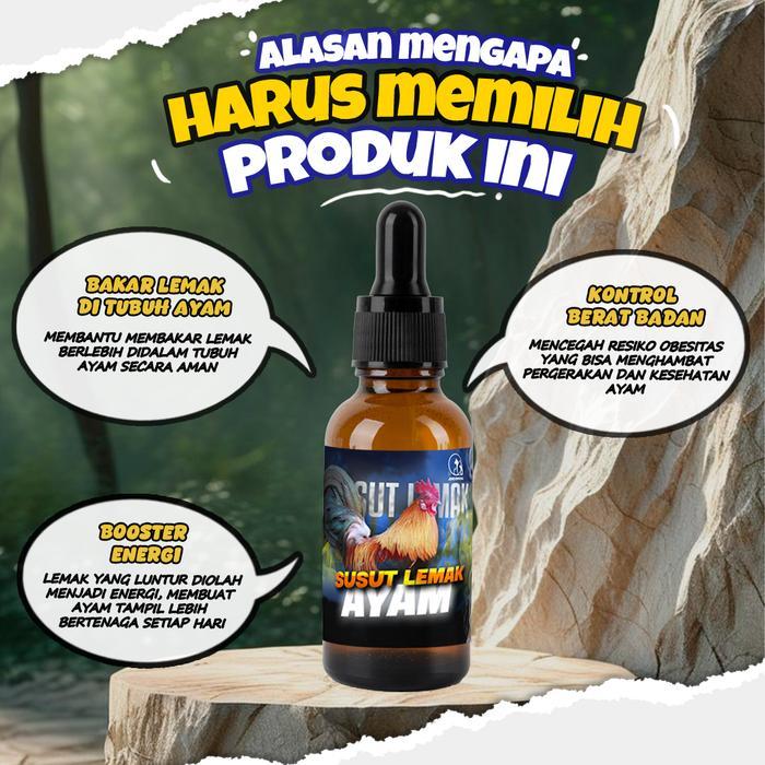 VITAMIN PENGHILANG LEMAK AYAM OBAT PELUNTUR LEMAK AYAM PEMBAKAR LEMAK MENGUBAH LEMAK JADI ENERGY