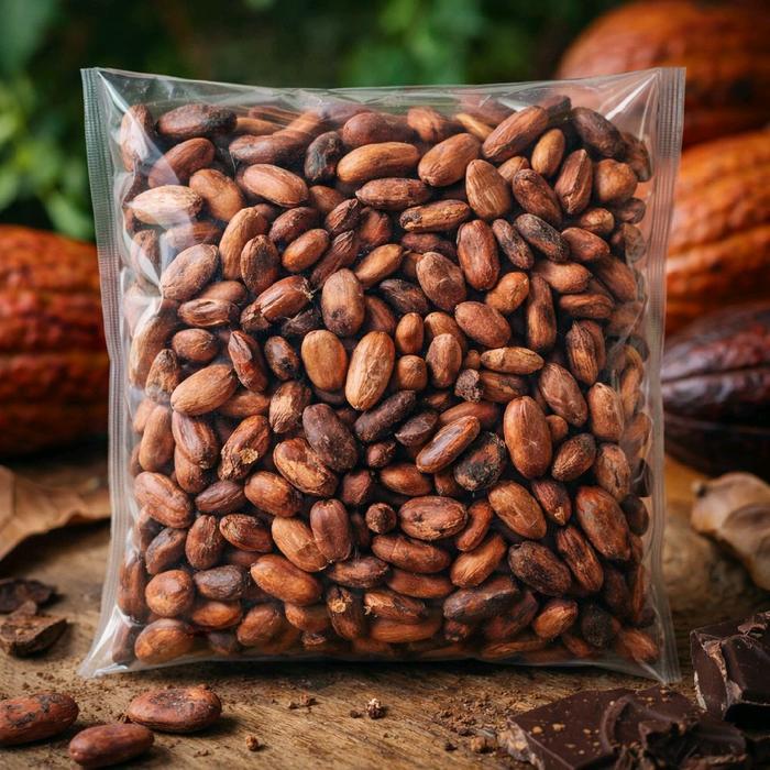 Biji Coklat Kering / Biji Kakao
