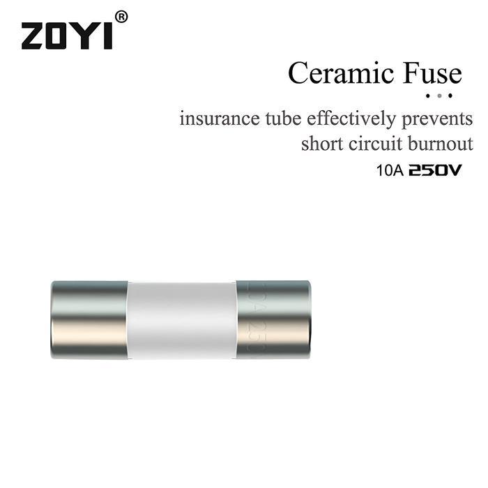 Zoyi Fuse Keramik Fuse For Multimeter Instrument 10A 3.5mm x 10mm 250V
