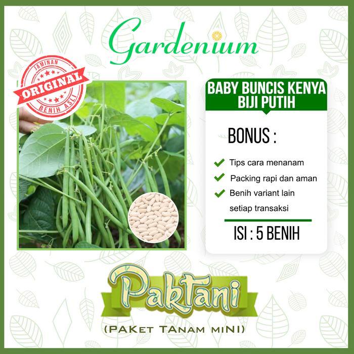 5 Benih Baby Buncis Kenya Biji Putih Buncis Perdu Non Rambat Tanaman Sayur Paktani