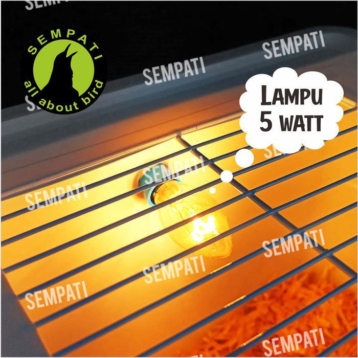 TERLARIS SEMPATI Box Burung Kotak Ternak Breeding Burung Parrot Lovebird Murai Kenari Terrarium
