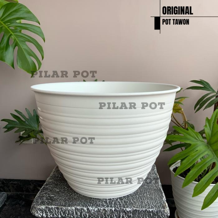 Pot Bunga Tawon Putih 30Cm